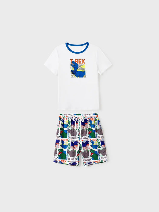 Dinosaur Printed Family Matching Short Set